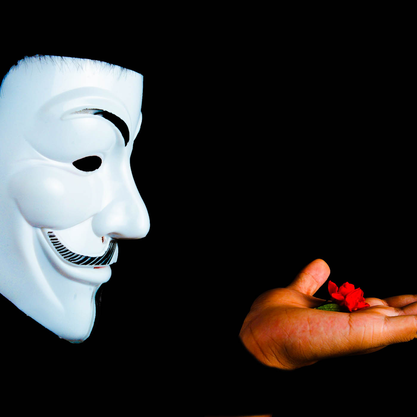 Tentativas de golpes na internet crescem 63,5% no 1º semestre de 2020; saiba como se proteger