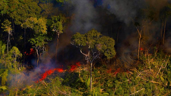 Fotógrafo retrata Amazônia em chamas