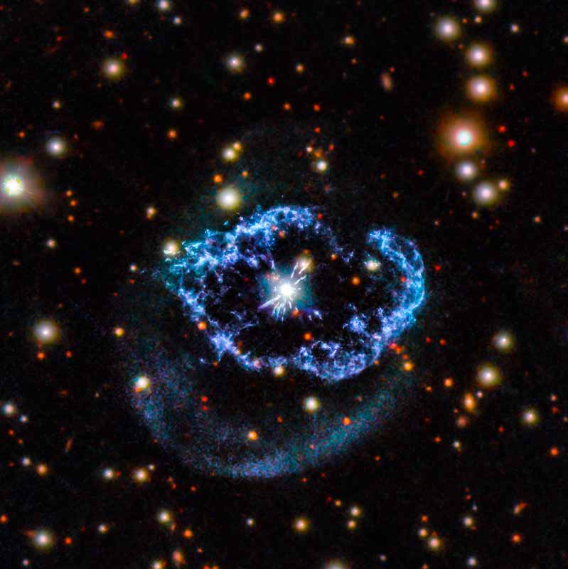 Um flash de vida na constelação do Cisne