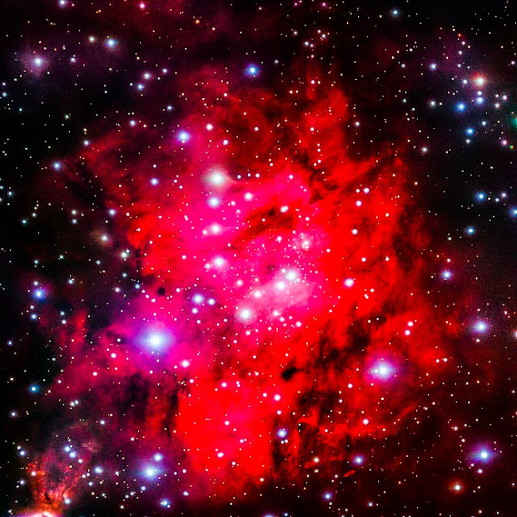 Sh 2-305: uma superbolha estrelada em um dos braços da Via Láctea