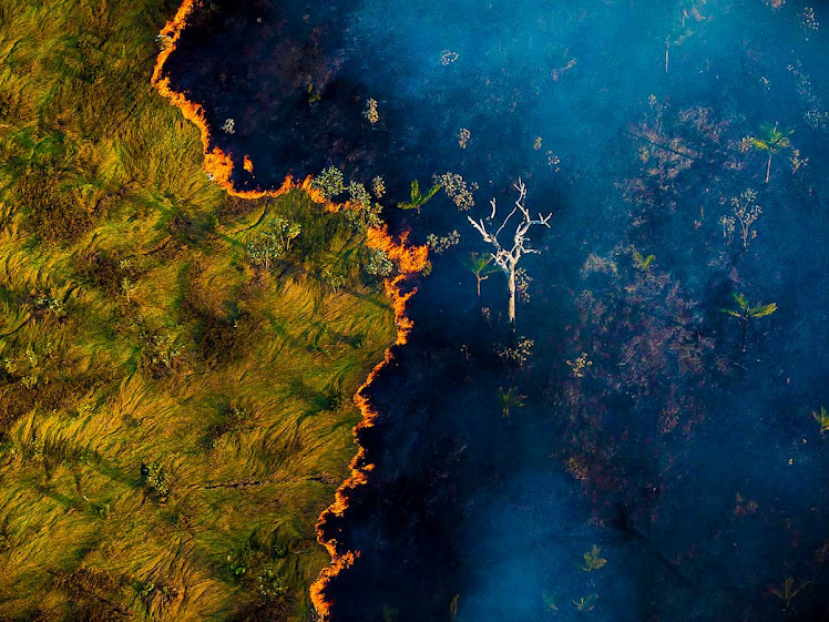 Maranhão tem queda de 25% no número de queimadas em setembro