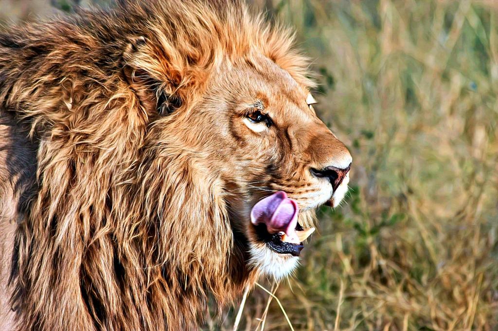 Atenção ao declarar empréstimos e financiamentos no Imposto de&nbsp;Renda