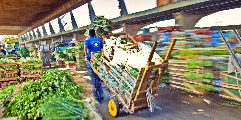 Ceagesp indica tendência de produtos mais baratos para esta semana; pinhão é o destaque