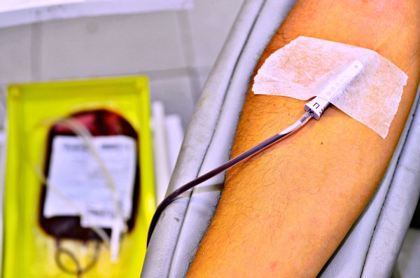 Mitos e verdades: descubra critérios para ser um doador de sangue