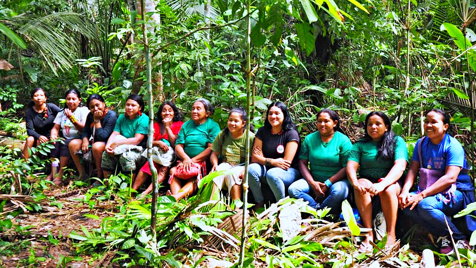 No Maranhão, mulheres indígenas e brigadistas voluntários mapeiam nascentes e reflorestam margens de igarapés