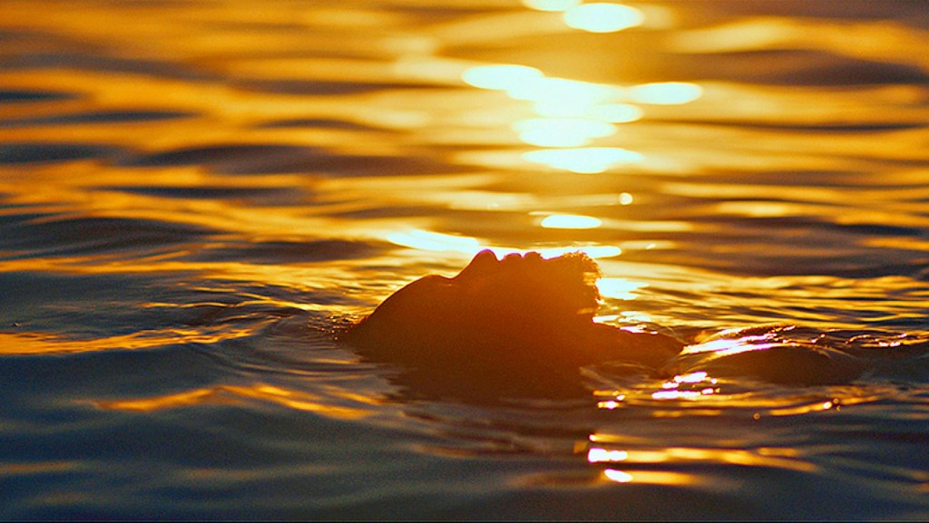 Longa cearense ‘Estranho Caminho’ ganha trailer&nbsp;oficial