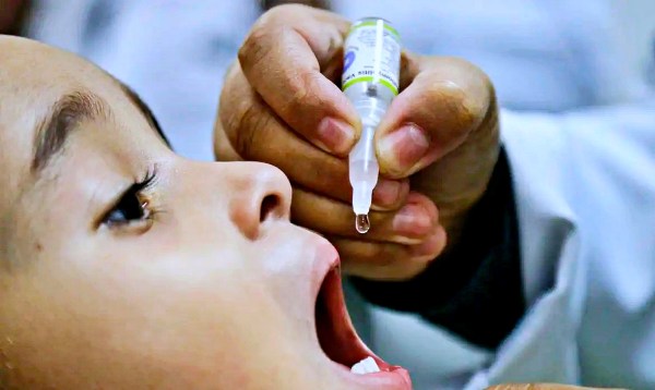 Poliomielite: vacina protege contra os diferentes tipos de poliovírus