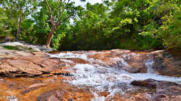 XVI Festuna une cultura, meio ambiente e ação social em&nbsp;Morros