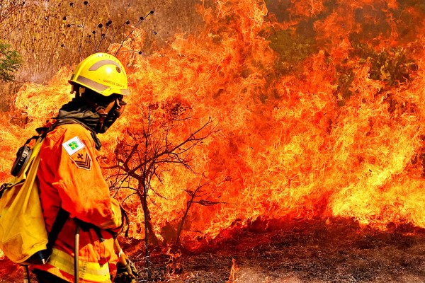 Mais de 15 milhões de brasileiros são afetados pelas&nbsp;queimadas