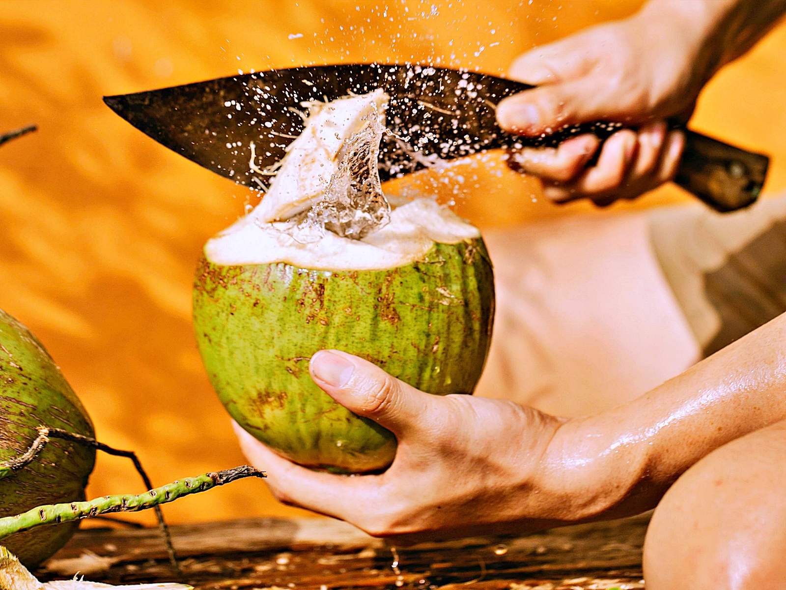 Ceagesp indica tendência de produtos mais baratos para esta semana; coco verde é o destaque: veja a lista de quais são os produtos mais em conta, os com preços estáveis e os mais caros no período