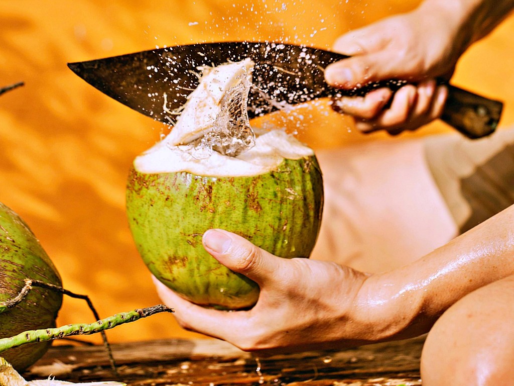 Ceagesp indica tendência de produtos mais baratos para esta semana; coco verde é o&nbsp;destaque