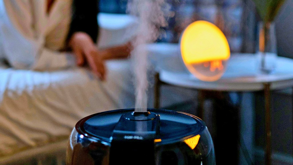 5 dicas para melhorar a qualidade do ar em sua&nbsp;casa