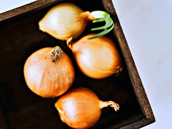 Ceagesp indica tendência de produtos mais baratos para esta semana: cebola nacional é o&nbsp;destaque