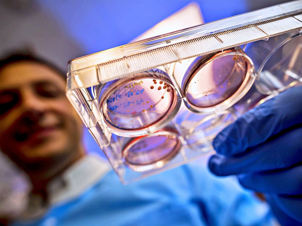 Biólogo brasileiro Alysson Muotri irá ao espaço em missão da Nasa estudar cérebro&nbsp;humano