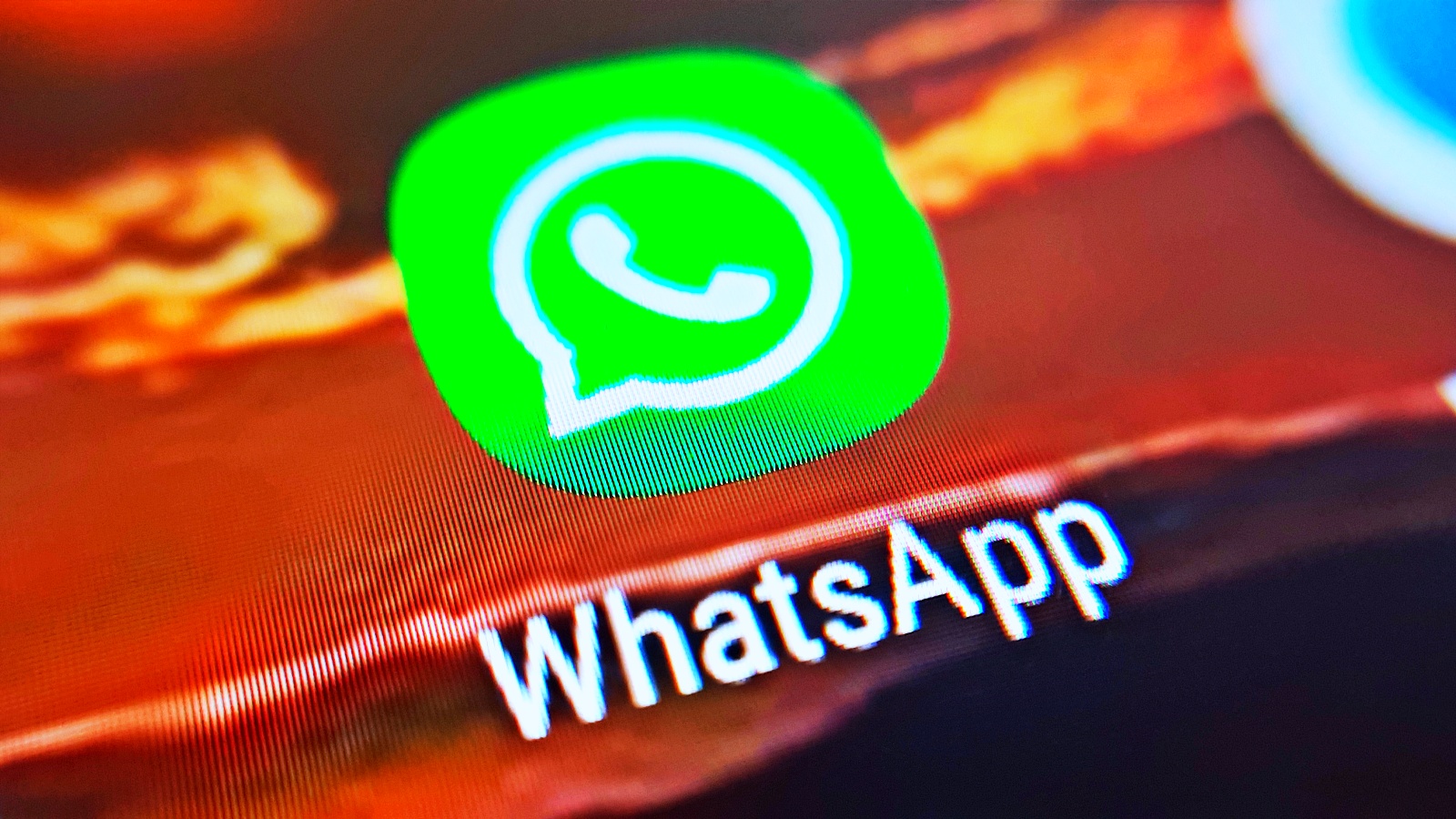 54% dos consumidores preferem WhatsApp para conversar com empresas