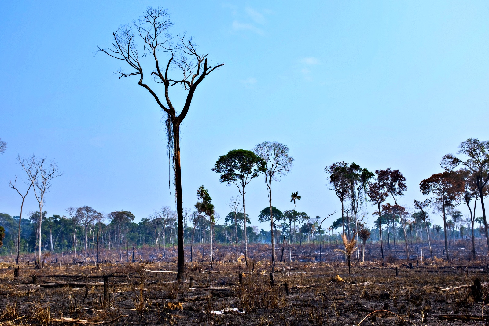 Longa de Sérgio de Carvalho, ‘Empate’ estreia nos cinemas