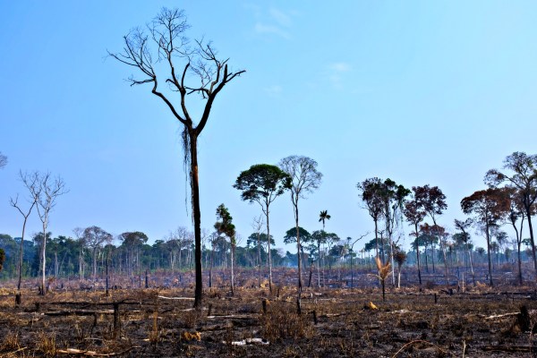 Longa de Sérgio de Carvalho, ‘Empate’ estreia nos cinemas
