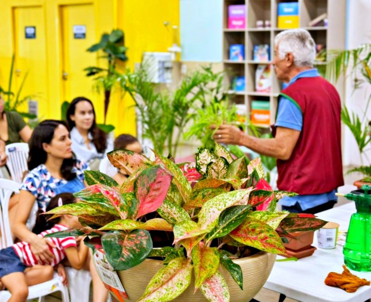 'Primeira Hortinha': workshop gratuito em São Luís incentiva hábitos sustentáveis entre crianças; programação ocorre neste sábado, 18 de janeiro, em duas edições; veja horários e onde ocorre inscrições