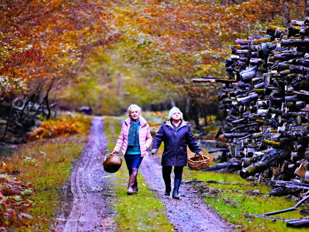 François Ozon retorna com ‘Quando Chega o Outono’, que estreia nos cinemas em março