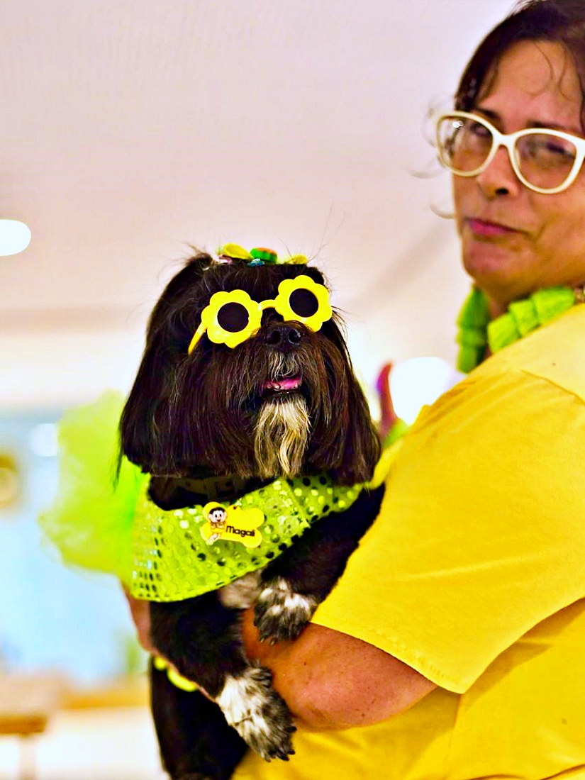 Rio Anil Shopping realiza bailinho de Carnaval com programação especial para amiguinhos de quatro patas: evento reúne tutores e seus animais de estimação para aproveitar clima carnavalesco neste sábado, 15 de fevereiro, às 16h