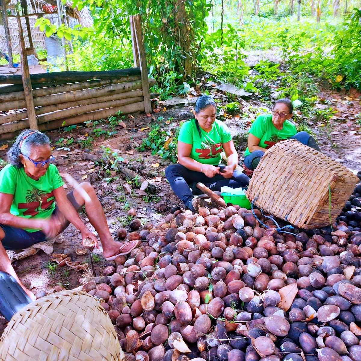 Grupo Moitará desenvolve pesquisa sobre quebradeiras de coco-babaçu no interior do Maranhão