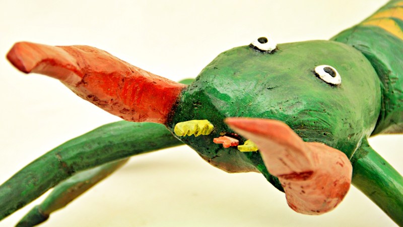 CCVM e Museu Vale inauguram exposição no Espírito Santo: exposição 'Quem Tem Medo de Bicho Pau?' fica aberta ao público de 9 de maio até 17 de agosto