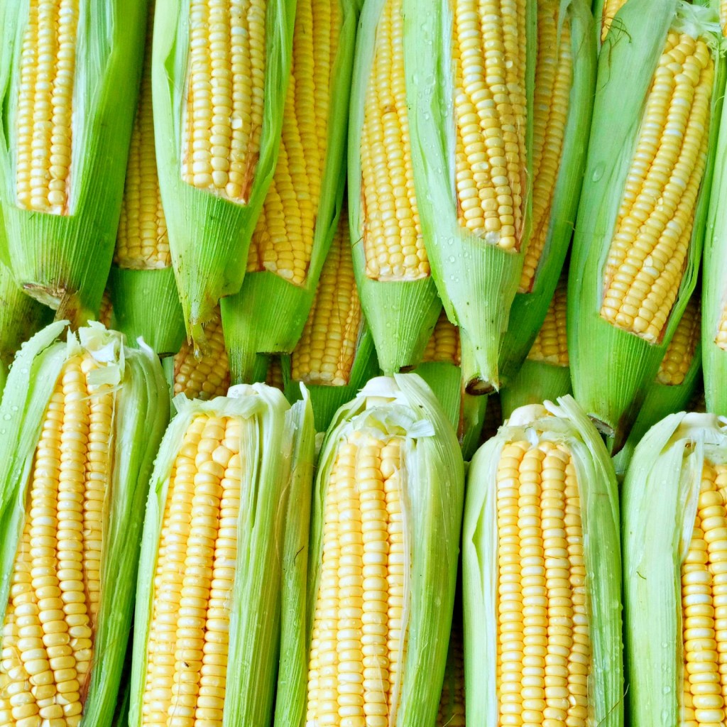 Milho verde é produto mais em conta nas feiras, na primeira semana de&nbsp;junho