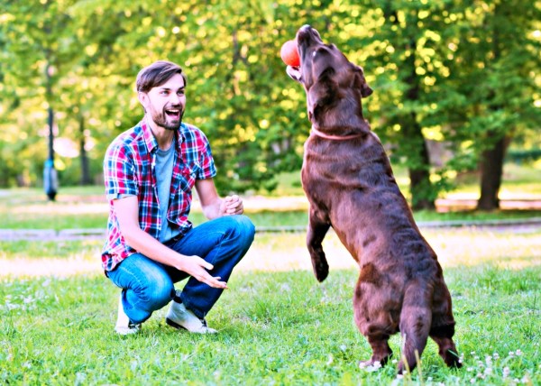 Latidos e miados de alegria: diversão e brincadeiras melhoram a saúde física e mental dos&nbsp;pets