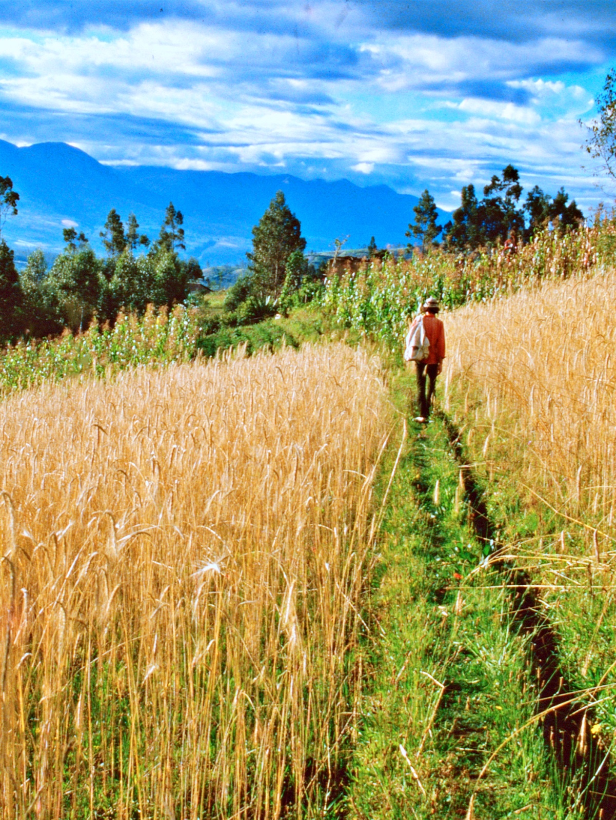 Nova exposição do CCVM, Resistências Originárias traz a São Luís mais de 300 imagens de Christine Leidgens: obra inédita da fotógrafa belga revela o poder da autonomia da vida e reconhecimento de quilombo como reserva extrativista