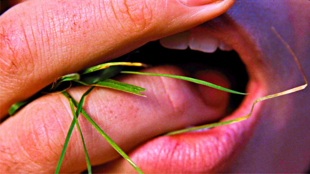 Margot Robbie e Jacob Elordi em ‘O Morro dos Ventos&nbsp;Uivantes’