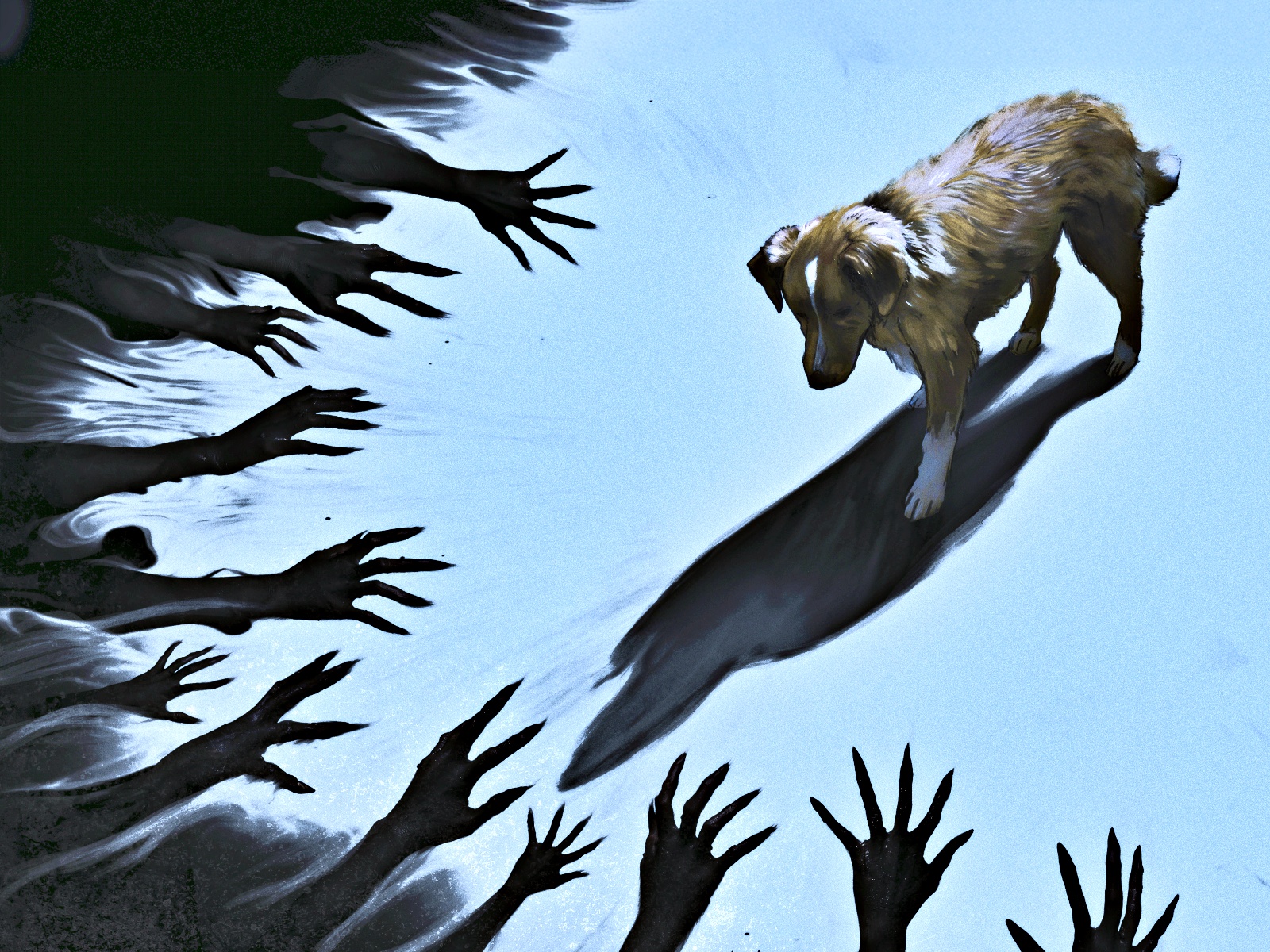 Terror visto pelos olhos de um cachorro em ‘Bom Menino’