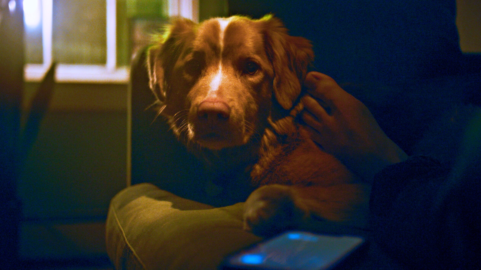 Paris Filmes divulga cartaz de 'Bom Menino': longa tem estreia marcada para o próximo mês nos cinemas brasileiros