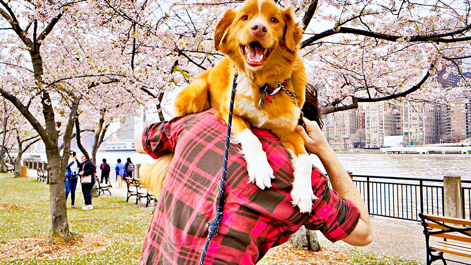 Paris Filmes divulga cartaz de 'Bom Menino': longa tem estreia marcada para o próximo mês nos cinemas brasileiros