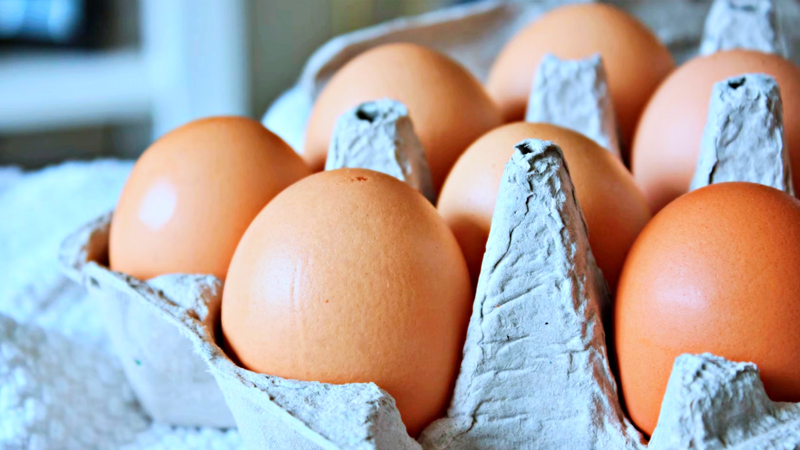 Lavar ovos antes de guardar? Especialistas explicam