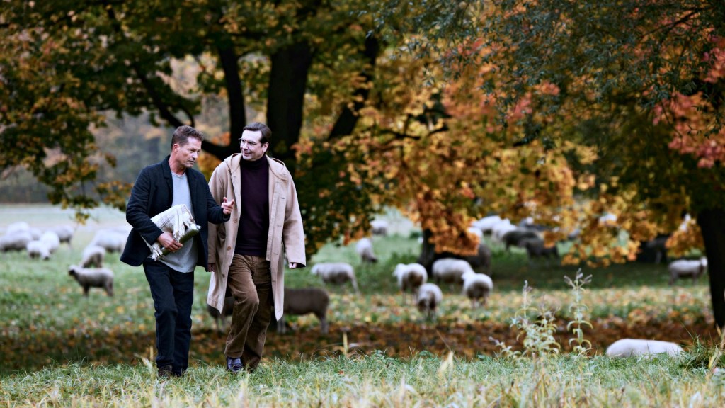 Looke lança ‘Sem Tempo a Perder’, e novos&nbsp;exclusivos