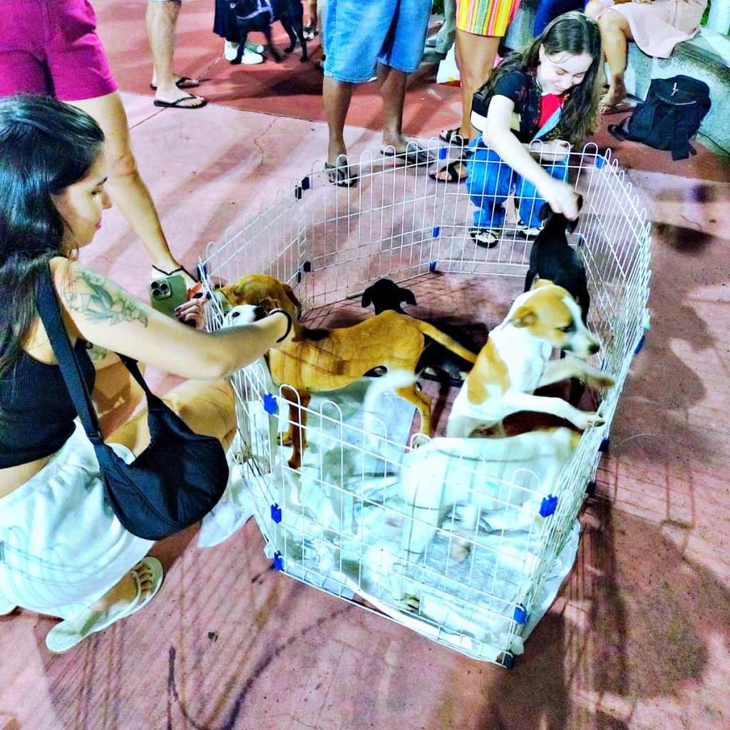 Feira une adoção pet e empreendedorismo feminino