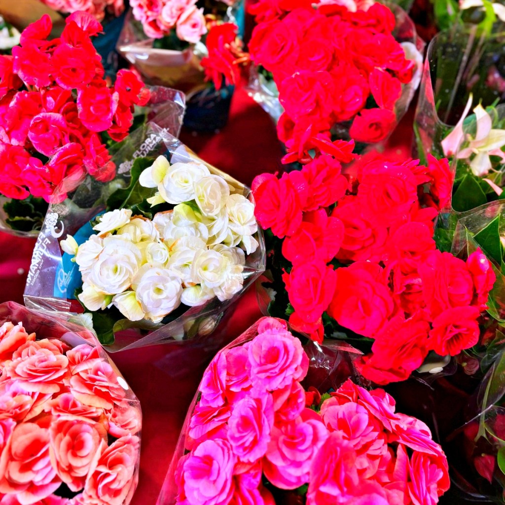 Shopping recebe feira de flores com causa solidária
