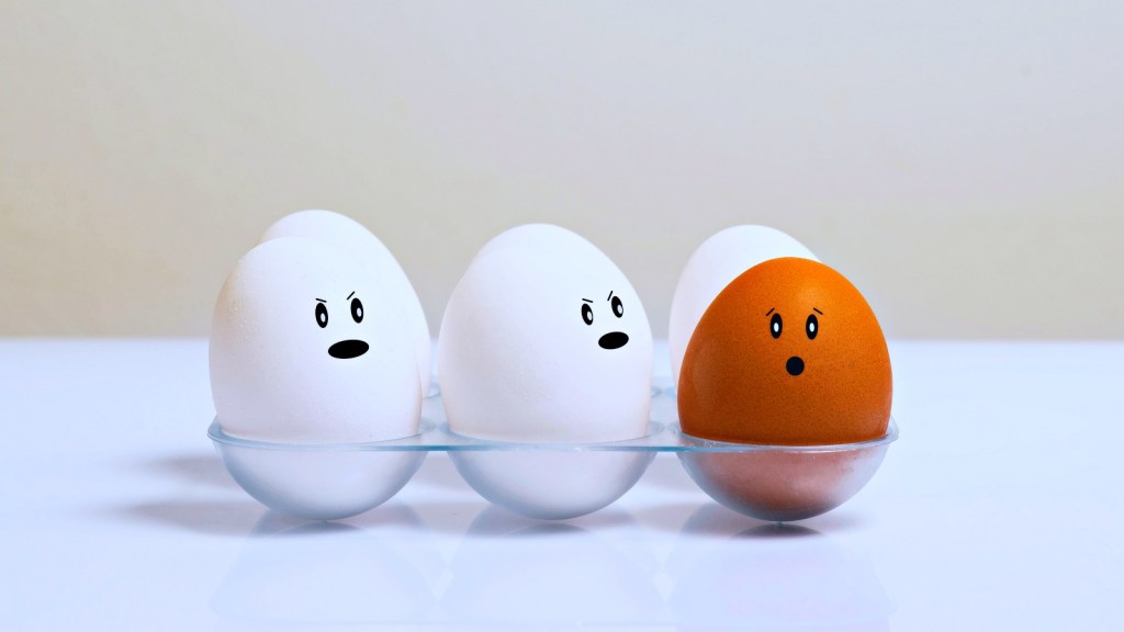 Ovos: descubra mitos e verdades sobre o&nbsp;alimento