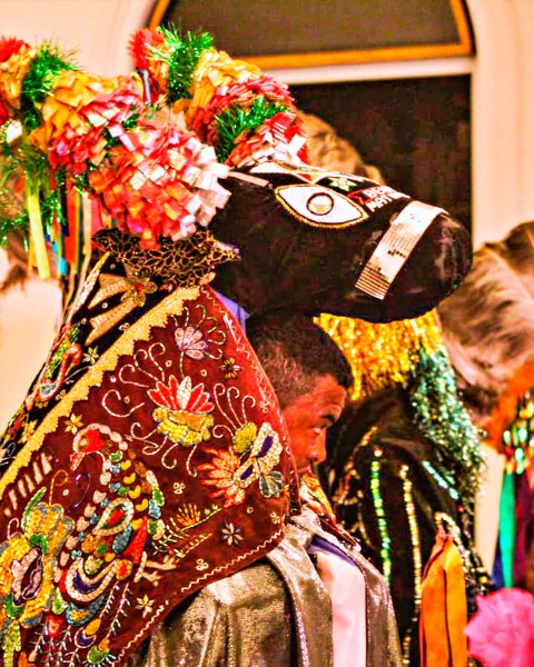 Bumba Meu Boi Bela Joia de Nazaré