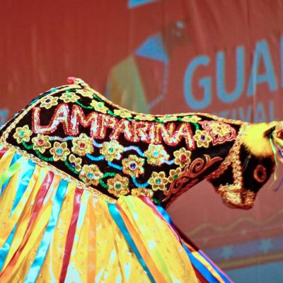 Guarnicê anuncia filmes inclusivos da mostra Faz Todo Sentido