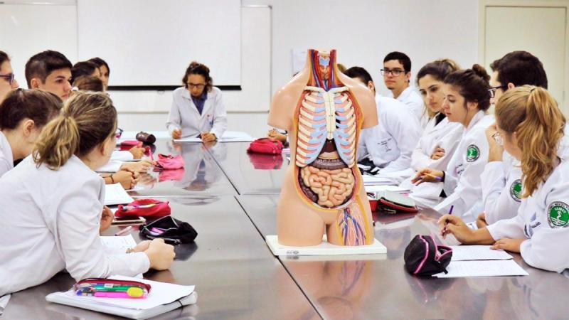Medicina lidera empregos, mas dúvidas desafiam estudantes