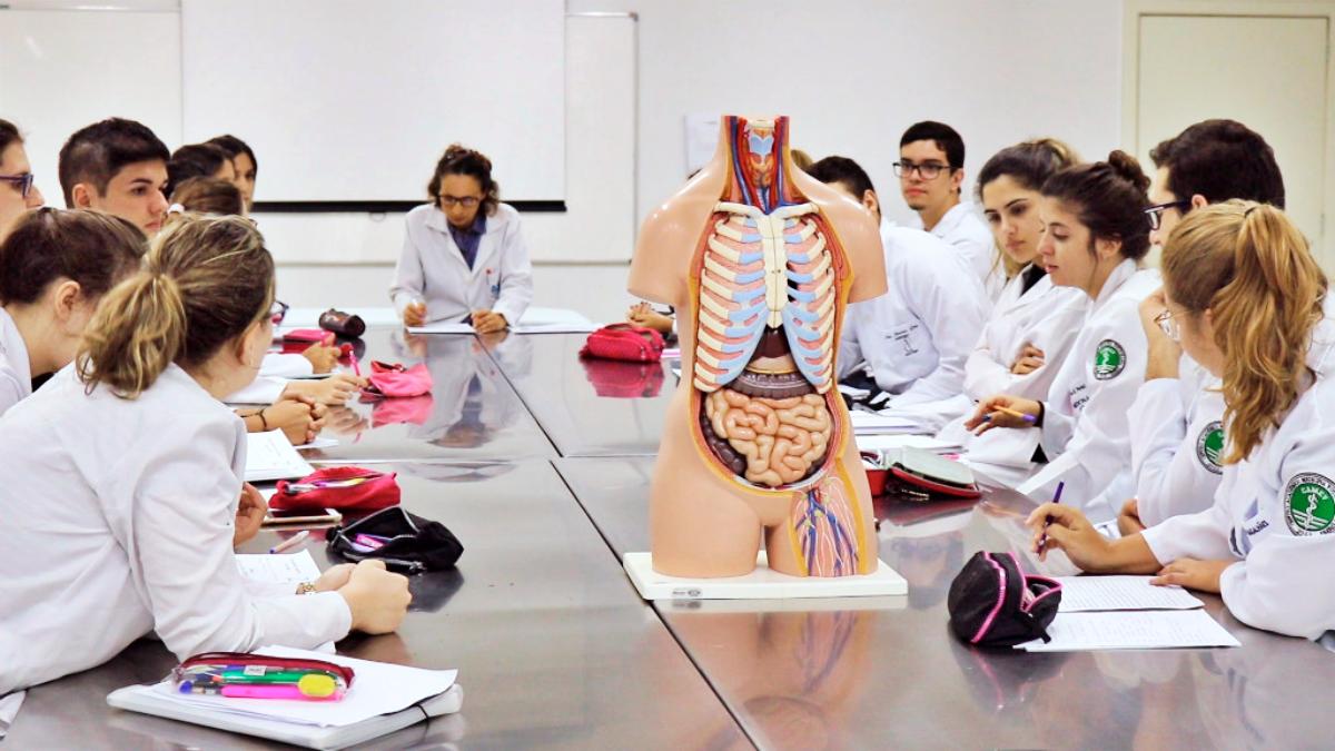 Medicina lidera empregos, mas dúvidas desafiam estudantes