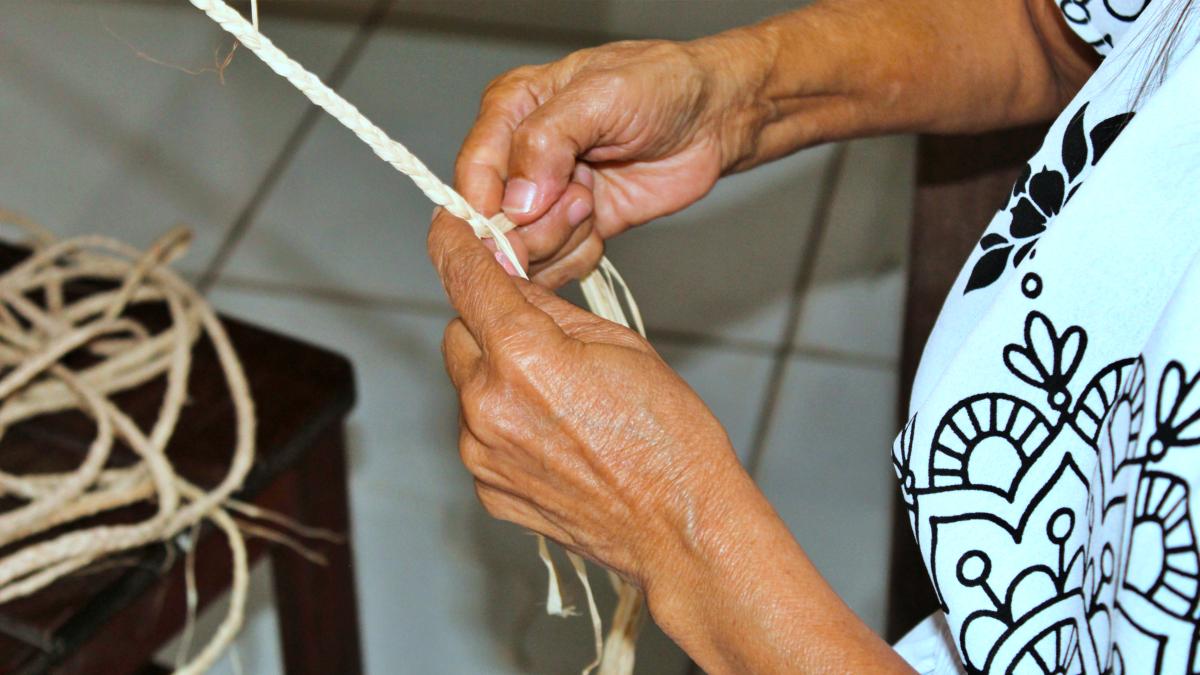 Arte em Fibra: desfile e exposição celebram mulheres em São Luís
