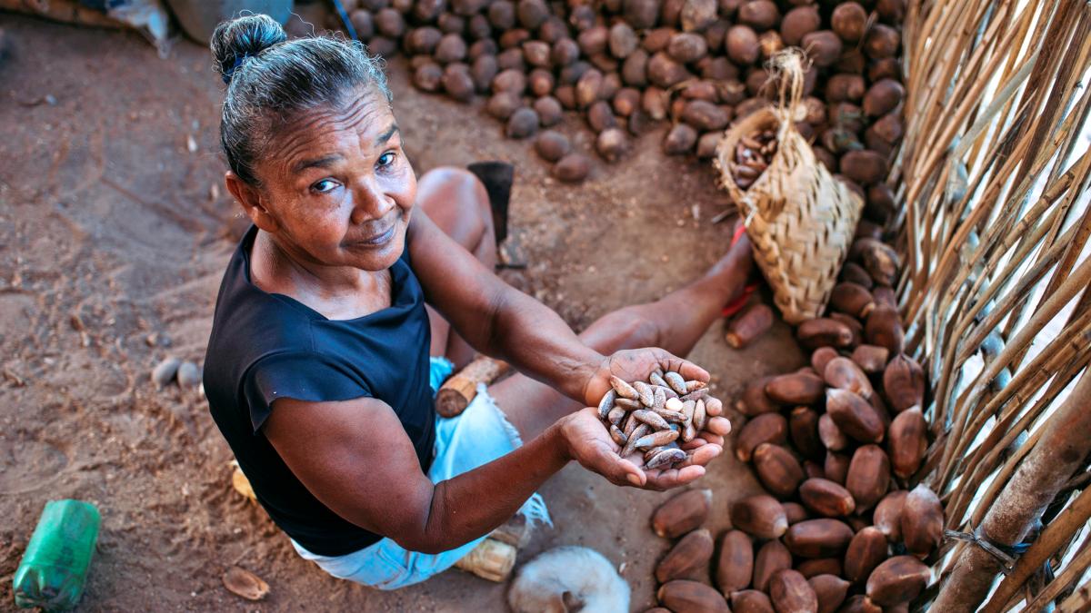 Quebradeiras de coco celebram cultura e defesa dos babaçuais